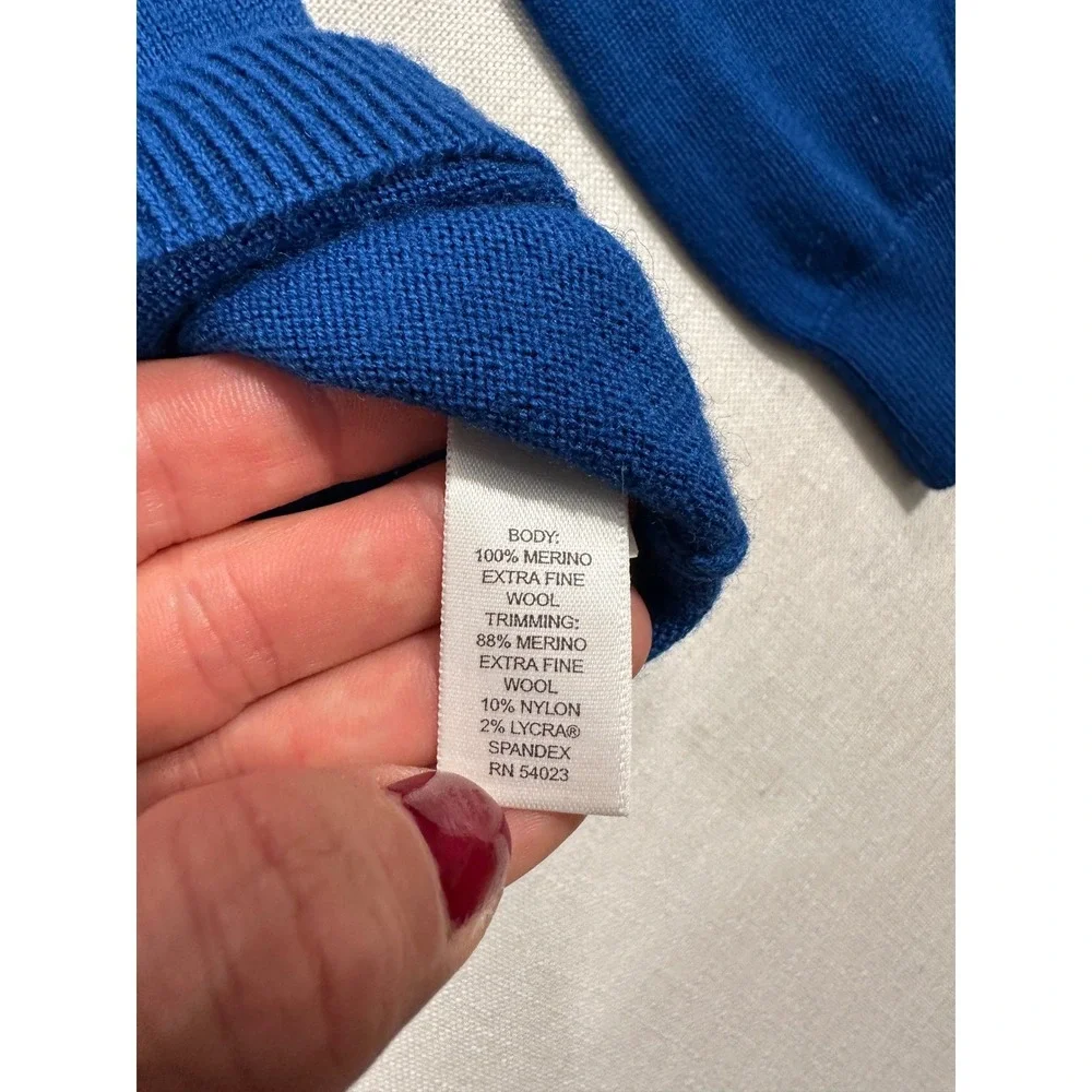 Banana Republic Extra Fine Merino Wool‎ V-Neck Sweater Royal Blue Mens XL 604891